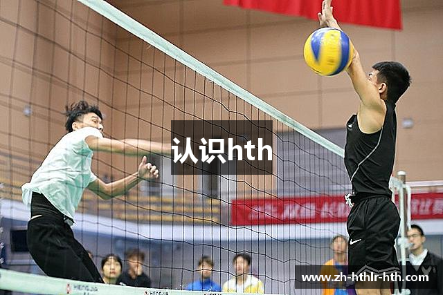 认识hth